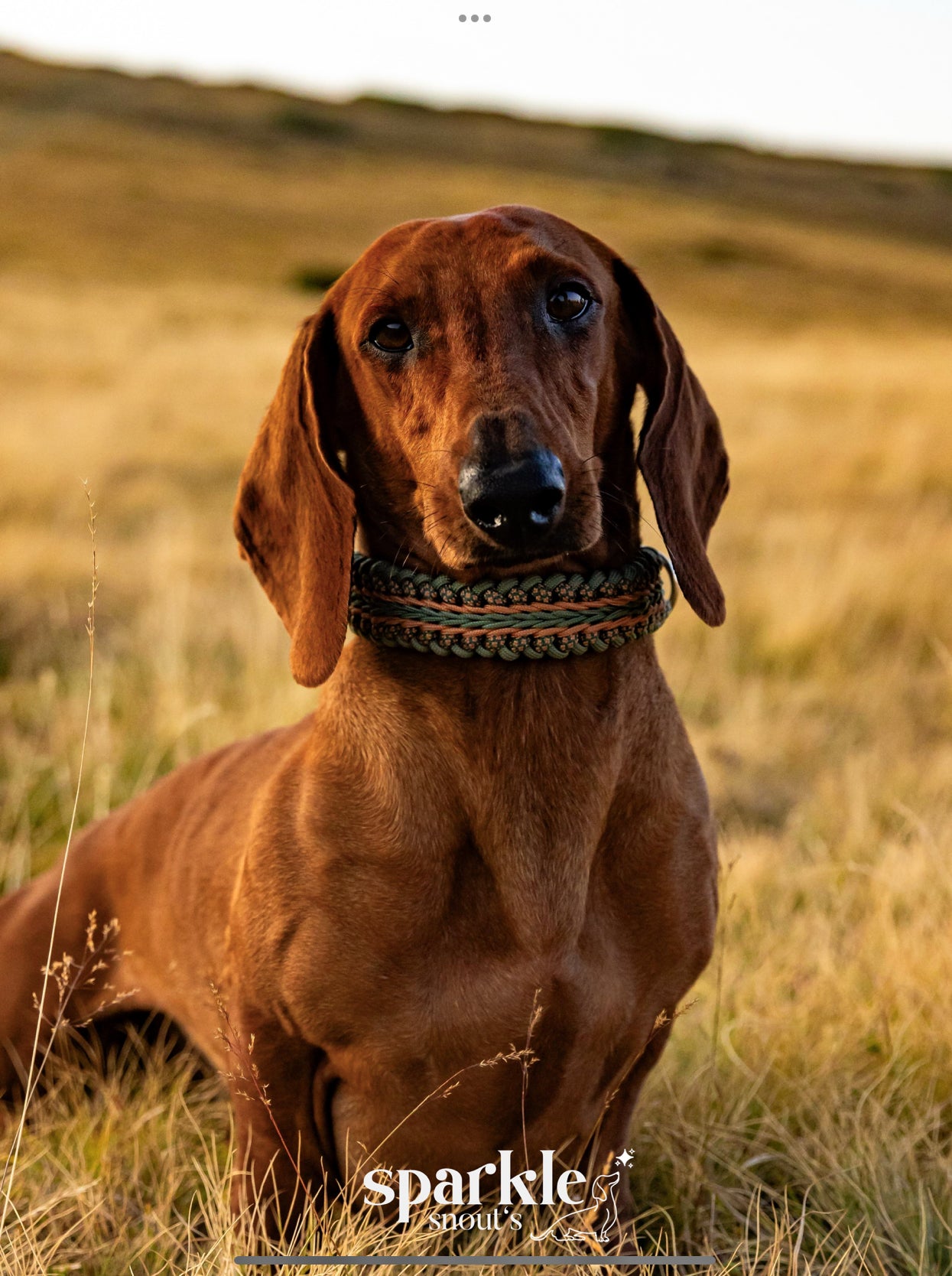 Halsband HIGHLAND in Foggy & Kupfer