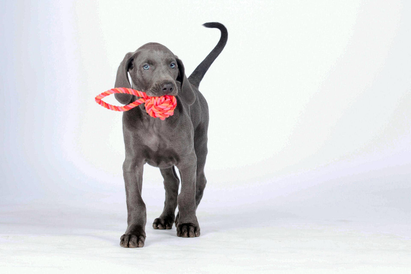 Schleuderball Mini in Rot-Orange-Pink