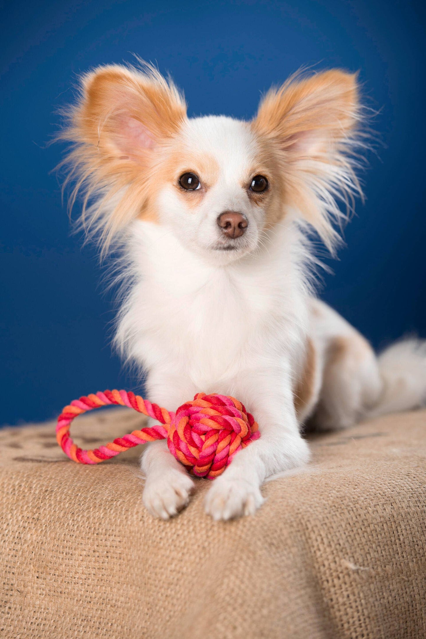 Schleuderball Mini in Rot-Orange-Pink