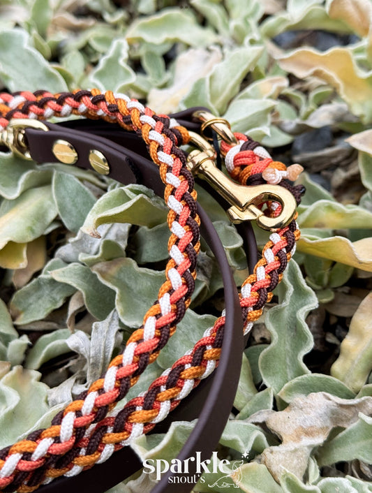 Leine ABISKO - Paracord x Biothane